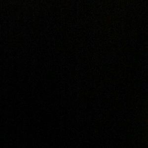 Meet your Posher, Dillon